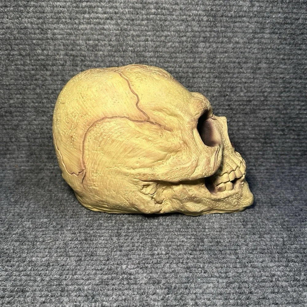 VTG Halloween Easter Unlimited Rubber Foam Filled Prop Skull‎ Life Like Deco